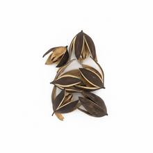 Sušené kvety Liliy 8-9cm, 6 kusov