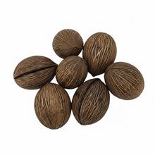 Sušené prírodné materiály Mintola, 6 kusov, veľkosť 7-10 cm.