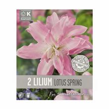 Balenie 2 ks ĽALIA ORIEN.DOUBLE LOTUS