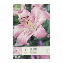 ĽALIA JOSEPHINE 3ks