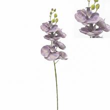 Umelá orchidea Phalaenopsis tmavo-fialová 72 cm.