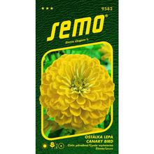 CÍNIA CANARY BIRD 0,7g  - FLORASYSTEM