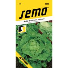 Semená šalátu hlávkového Jupiter od SEMO.