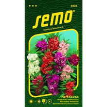 Semená netýkavky balzaminovej zmes v balení 0,7g.