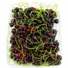 HS-20420-5519,6047 PLODY - FLORASYSTEM