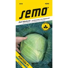 KAPUSTA HLÁV. PORTOZA F1 40s.  - FLORASYSTEM