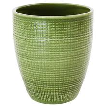 58629 OBAL ORCH.MENTA 667/15 - FLORASYSTEM