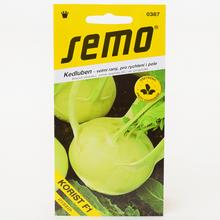 Semená kalerábu Korist F1 od SEMO.