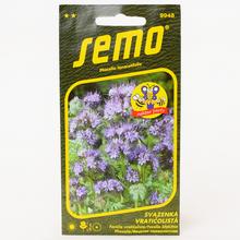 Semená Facélia Větrovská 4g od SEMO.