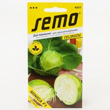 KAPUSTA SK. MINICA F1 50s - FLORASYSTEM