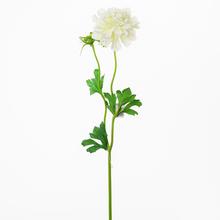 KS SCABIOSA BIELA 41CM - FLORASYSTEM