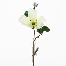 KONÁR MAGNÓLIA 36CM BIELA - FLORASYSTEM