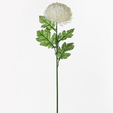KS CHRYZANTÉMA 66CM BIELA - FLORASYSTEM