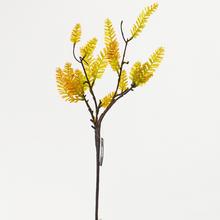 AKCIA!!!KS  ZELEŇ CYPRUŠTEK ČERV.ZEL. 54CM - FLORASYSTEM