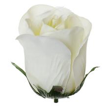 HLAVA RUŽA KRÉM P:6CM BAL:12KS - FLORASYSTEM