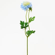 KS SCABIOSA MODRÁ 41CM - FLORASYSTEM