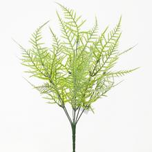 ZÁPICH PAPRAĎ ŠEDÁ 37CM - FLORASYSTEM