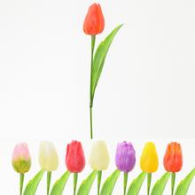 KS 25FLK020318 TULIPÁN  MIX FARIEB/GUM 42CM - FLORASYSTEM