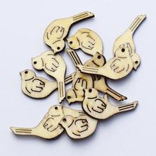 VÝREZ VTÁČIK NATUR 3CM S/40 SUPER CENA! - FLORASYSTEM