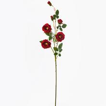 KS VIACKV. RUŽA 95cm - FLORASYSTEM