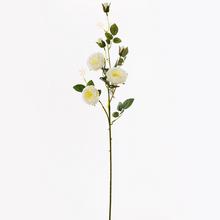 KS VIACKV. RUŽA 95cm - FLORASYSTEM