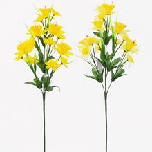 KYTICA NARCIS MIX 2F 70cm - FLORASYSTEM