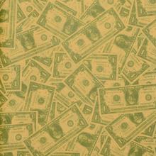 BAL.PAPIER S/45  ZEL.+DOLÁR 50*70cm - FLORASYSTEM