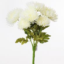 KYTICA CHRYZANTÉMA KRÉMOVÁ 52cm - FLORASYSTEM