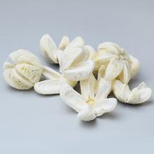 I460W WILD ORANGE BIELENÉ S/10 - FLORASYSTEM