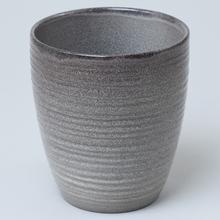 63520 OBAL ORCH. WILD ICE 669/14 - FLORASYSTEM