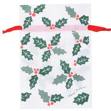 6788 DARČEK.VRECKO VIAN 22x32 - FLORASYSTEM