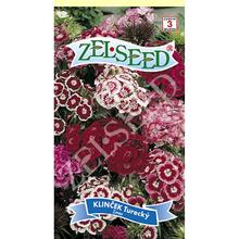 ZELSEED - Kvety trvalky | FLORASYSTEM