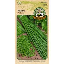 PAŽÍTKA PRAŽSKÁ 3g - FLORASYSTEM