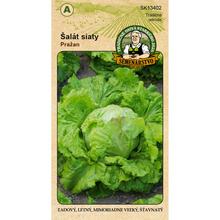 ŠALÁT SIATY PRAŽAN 0,5g - FLORASYSTEM