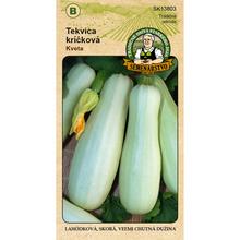 TEKVICA KR. OBYČ. KVETA 4g - FLORASYSTEM