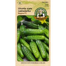 UHORKA SIATA NAKLADAČKA REGINA F1 2g - FLORASYSTEM