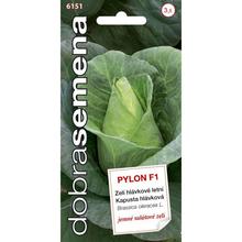 KAPUSTA HL. PYLON F1 40s - FLORASYSTEM