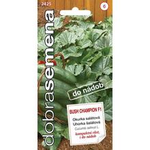 UHORKA ŠALÁTOVÁ BUSH CHAMPION 10S - FLORASYSTEM