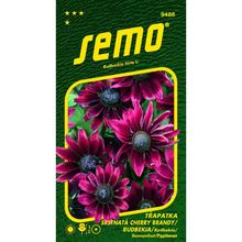RUDBEKIA SRSTNATÁ CHERRY BRANDY 0,08g - FLORASYSTEM
