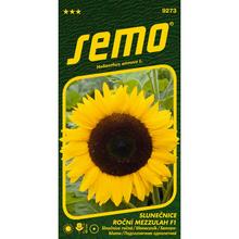 SLNEČNICA ROČNÁ MEZZULAH F1 2g - FLORASYSTEM