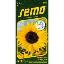 SLNEČNICA ROČNÁ SUN 2G - FLORASYSTEM