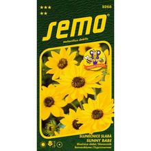 SLNEČNICA SLABÁ SUNNY BABE - FLORASYSTEM