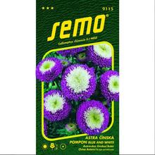 Semená astrovky čínskej Pompon Blue and White 0,5g.