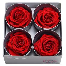 Ruža preparovaná 7/8cm RED /ks - FLORASYSTEM