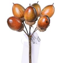 ZVÄZOK ŽALUDE S/6 L:11CM - FLORASYSTEM