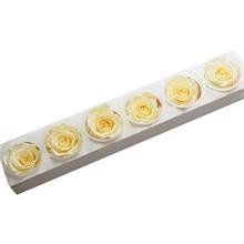 Ruža preparovaná 6,5cm PEARL WHITE /ks - FLORASYSTEM