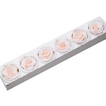 Ruža preparovaná 6,5cm PINK BLUSH /ks - FLORASYSTEM