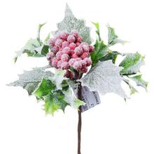 ZÁPICH ZELEŇ OSNEŽ. BOBUĽE ČERVENÉ - FLORASYSTEM