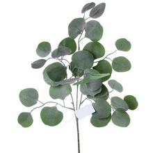 LISTY EUCALYPTUS 45CM - FLORASYSTEM