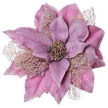 POINSETTIA KLIP ST.RUŽ-ZL 10cm  - FLORASYSTEM